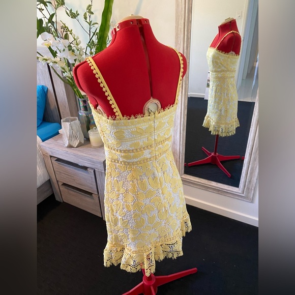 Size 10  - Forever New soft yellow embroidered summer dress - Picture 6 of 12